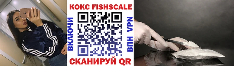 Кокаин FishScale купить цена Новая Ляля