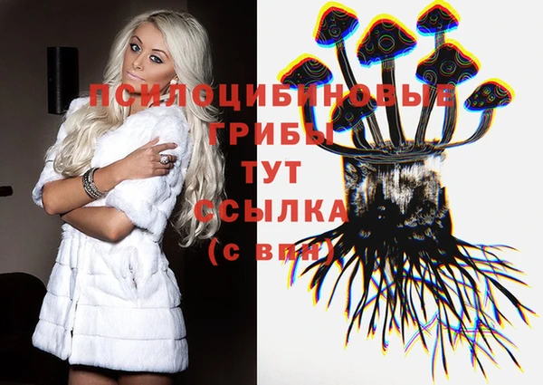 МДПВ Аркадак